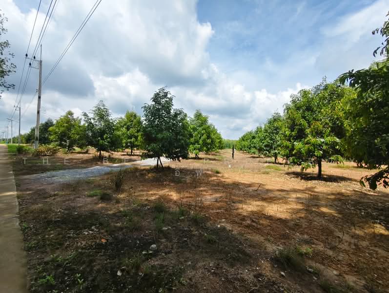 ที่ดินพร้อมสวนแกลง ระยอง, Rayong, Ban Na, Klaeng, Rayong, , 12,800 sqm, Land For Sale, by The Best Property อีฟ, 500485605 - DDproperty.com
