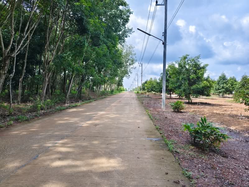 ที่ดินพร้อมสวนแกลง ระยอง, Rayong, Ban Na, Klaeng, Rayong, , 12,800 sqm, Land For Sale, by The Best Property อีฟ, 500485605 - DDproperty.com