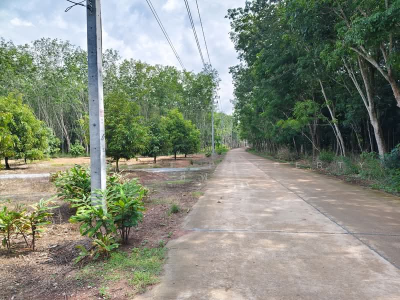 ที่ดินพร้อมสวนแกลง ระยอง, Rayong, Ban Na, Klaeng, Rayong, , 12,800 sqm, Land For Sale, by The Best Property อีฟ, 500485605 - DDproperty.com