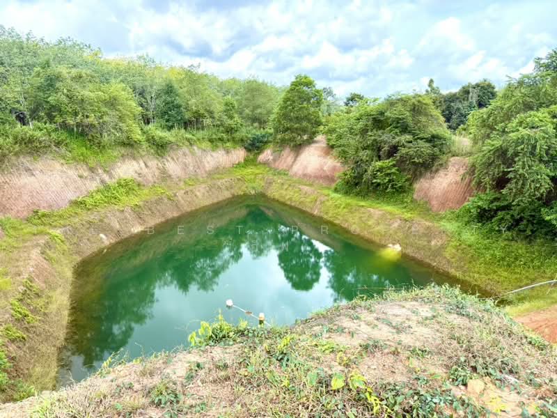 ที่ดินพร้อมสวนแกลง ระยอง, ระยอง, บ้านนา, แกลง, ระยอง, 12,800 ตร.ม., ที่ดิน ขาย, โดย The Best Property อีฟ, 500485605 - DDproperty.com