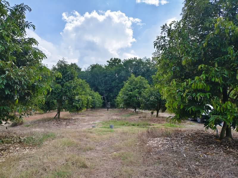 ที่ดินพร้อมสวนแกลง ระยอง, ระยอง, บ้านนา, แกลง, ระยอง, 12,800 ตร.ม., ที่ดิน ขาย, โดย The Best Property อีฟ, 500485605 - DDproperty.com