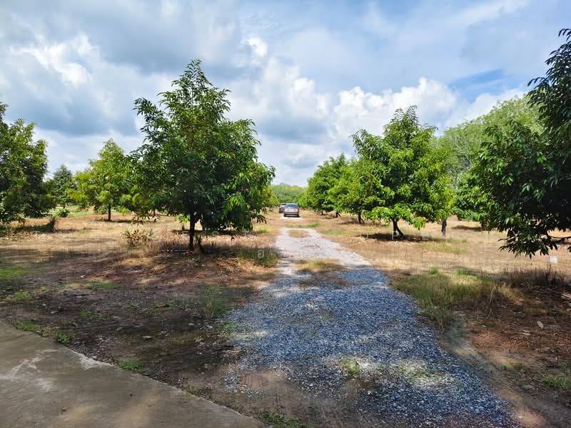 ที่ดินพร้อมสวนแกลง ระยอง, ระยอง, บ้านนา, แกลง, ระยอง, 12,800 ตร.ม., ที่ดิน ขาย, โดย The Best Property อีฟ, 500485605 - DDproperty.com