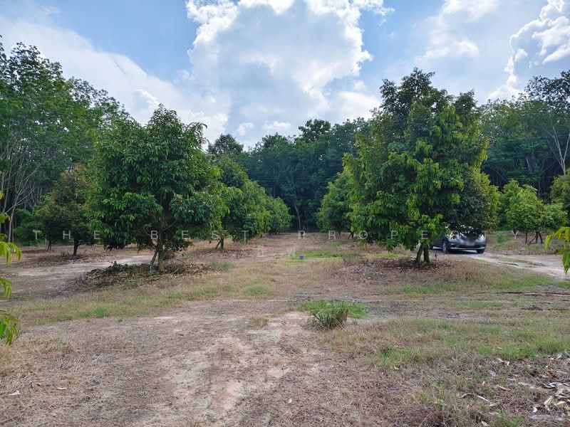 ที่ดินพร้อมสวนแกลง ระยอง, Rayong, Ban Na, Klaeng, Rayong, , 12,800 sqm, Land For Sale, by The Best Property อีฟ, 500485605 - DDproperty.com