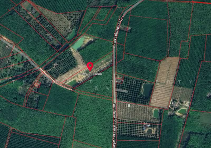 ที่ดินพร้อมสวนแกลง ระยอง, Rayong, Ban Na, Klaeng, Rayong, , 12,800 sqm, Land For Sale, by The Best Property อีฟ, 500485605 - DDproperty.com