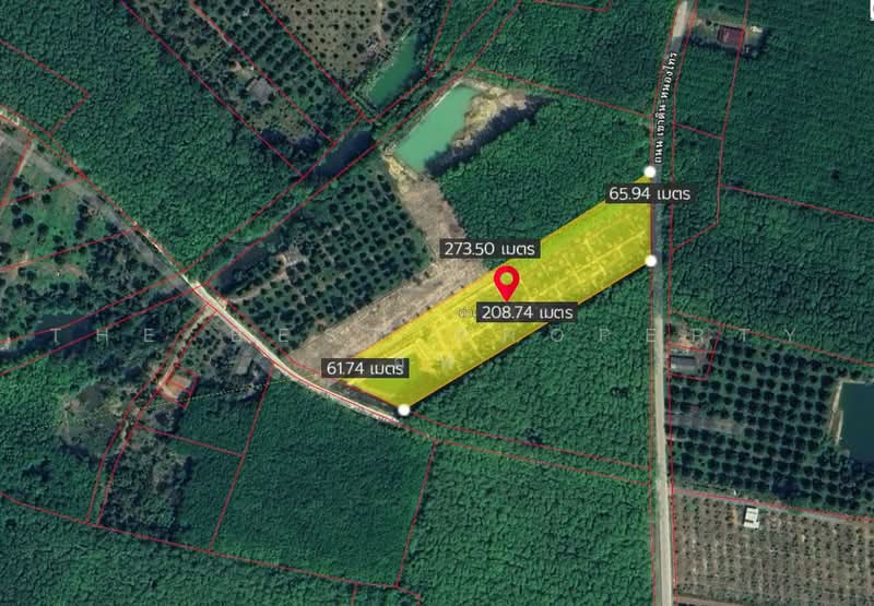 ที่ดินพร้อมสวนแกลง ระยอง, Rayong, Ban Na, Klaeng, Rayong, , 12,800 sqm, Land For Sale, by The Best Property อีฟ, 500485605 - DDproperty.com