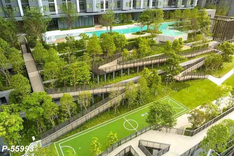Life Sathorn Sierra, Bangkok, Ratchaphruek Rd, Talat Plu, Thon Buri, Bangkok, 1 Bedroom, 32 sqm, Condo For Rent, by Susira Preuksawun, 500485622 - DDproperty.com