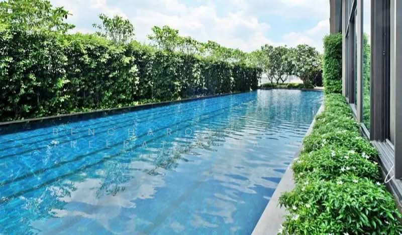 The Line Sukhumvit 71, Bangkok, 15 Sukhumvit 71 Road, Phra Kanong Nua, Watthana, Bangkok, 1 Bedroom, 31 sqm, Condo For Rent, by Bencharong (Yok) Treerat-a-na-wat, 500485768 - DDproperty.com