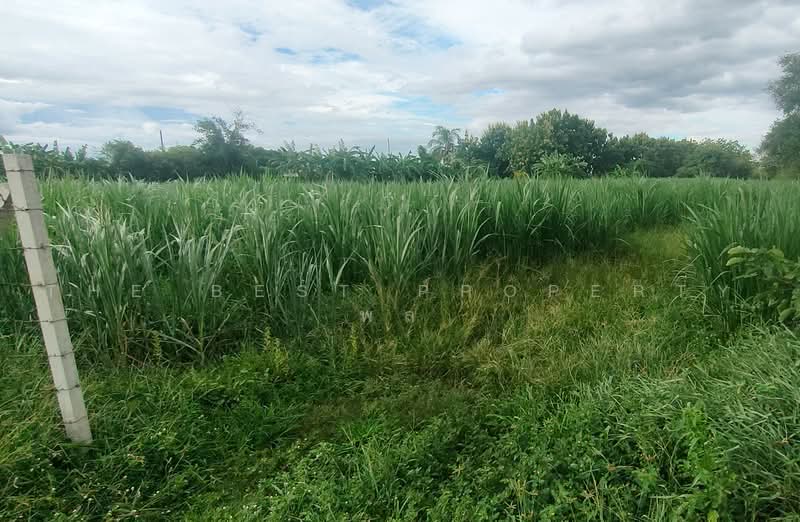 ที่ดินโพธาราม ราชบุรี, Ratchaburi, Don Krabuang, Photharam, Ratchaburi, , 4,876 sqm, Land For Sale, by The Best Property พล , 500485789 - DDproperty.com