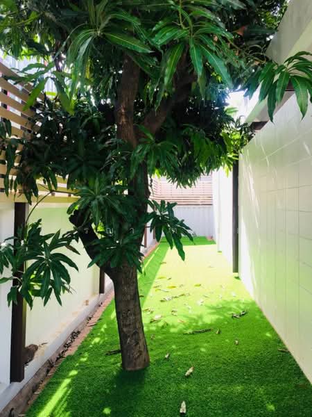 Ekkamai soi 10, Bangkok, เอกมัย ซอย 10, Khlong Tan Nua, Watthana, Bangkok, 3 Bedrooms, 150 sqm, Single Detached House For Rent, by อมรญา ทองสุข, 500485833 - DDproperty.com