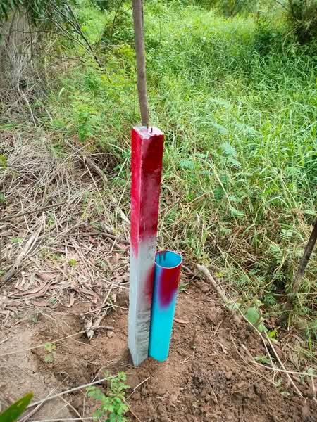 5J2W+8QG ตำบล คลองสอง อำเภอคลองหลวง ปทุมธานี, Pathum Thani, Khlong Song, Khlong Luang, Pathum Thani, , 16,000 sqm, Land For Sale, by Pichitchai Kaensaksiri, 500485856 - DDproperty.com