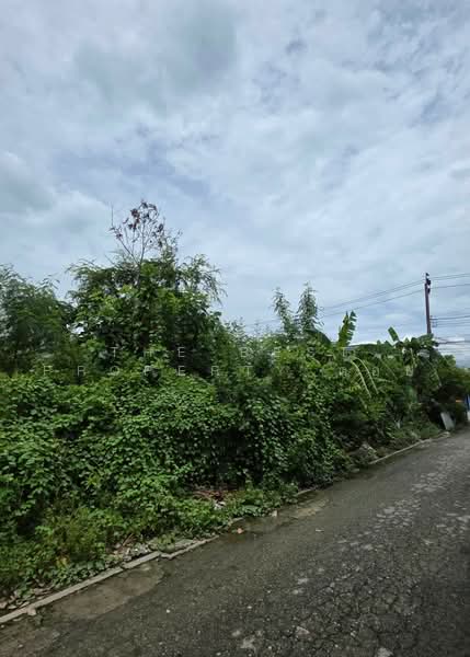 ที่ดินคลองสามวา กรุงเทพมหานคร, Bangkok, Sam Wa Tawan Ok, Khlong Sam Wa, Bangkok, , 78 sqm, Land For Sale, by The Best Property ต้อย, 500485981 - DDproperty.com