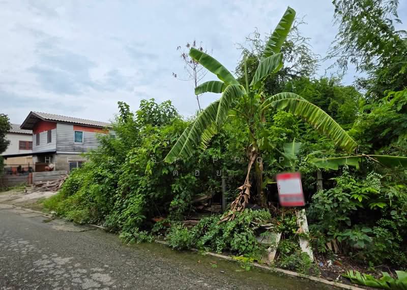 ที่ดินคลองสามวา กรุงเทพมหานคร, Bangkok, Sam Wa Tawan Ok, Khlong Sam Wa, Bangkok, , 78 sqm, Land For Sale, by The Best Property ต้อย, 500485981 - DDproperty.com