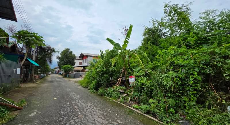ที่ดินคลองสามวา กรุงเทพมหานคร, Bangkok, Sam Wa Tawan Ok, Khlong Sam Wa, Bangkok, , 78 sqm, Land For Sale, by The Best Property ต้อย, 500485981 - DDproperty.com