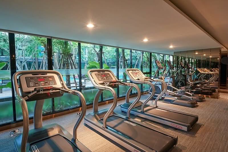 Vtara Sukhumvit 36 : วีธารา สุขุมวิท 36, กรุงเทพ, 118 ซอยแสนสบาย, พระโขนง, คลองเตย, กรุงเทพ, 30 ตร.ม., คอนโด ให้เช่า, โดย Bencharong (Yok) Treerat-a-na-wat, 500486052 - DDproperty.com
