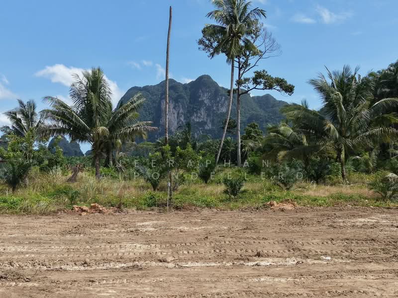 LAND FOR SALE | KHAO THONG, KRABI, Krabi, Ao Nang, Muang Krabi, Krabi, , 6,352 sqm, Land For Sale, by JEERAPHAN FAIPONDEELERD, 500486063 - DDproperty.com