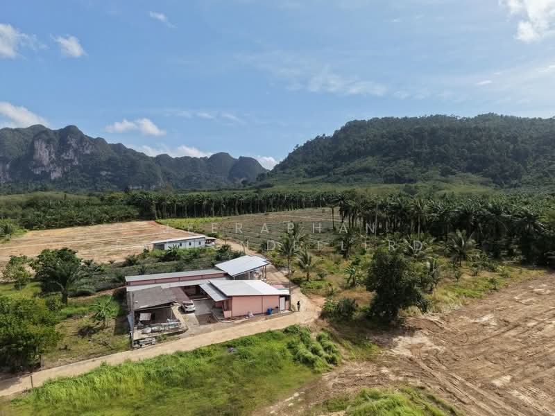 LAND FOR SALE | KHAO THONG, KRABI, Krabi, Ao Nang, Muang Krabi, Krabi, , 6,352 sqm, Land For Sale, by JEERAPHAN FAIPONDEELERD, 500486063 - DDproperty.com