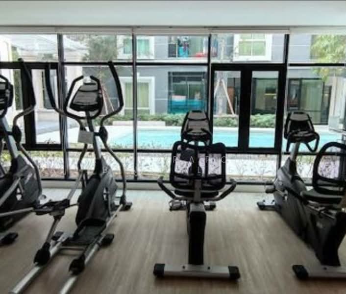 Plum Condo Chaengwattana Station, Bangkok, Chaeng Watthana Rd, Talat Bang Khen, Lak Si, Bangkok, 1 Bedroom, 23 sqm, Condo For Sale, by Patcharaporn Binsorlae, 500486127 - DDproperty.com