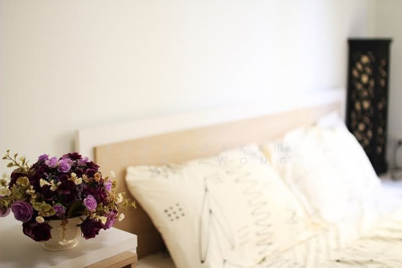 My Condo Sukhumvit 81, Bangkok, Soi Sukhumvit 81 Sukhumvit Road, Bang Chak, Phra Khanong, Bangkok, 1 Bedroom, 35 sqm, Condo For Rent, by Praewpakar Soontawong, 500486142 - DDproperty.com