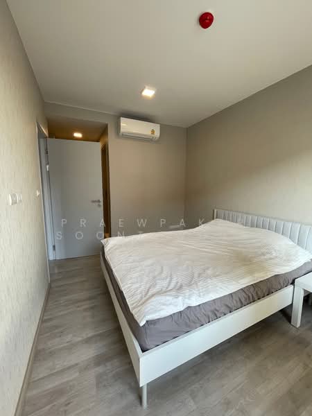 Quintara Arte Sukhumvit 52, Bangkok, Soi Sukhumvit 52, Sukhumvit Road, Bang Chak, Phra Khanong, Bangkok, 1 Bedroom, 35 sqm, Condo For Rent, by Praewpakar Soontawong, 500486188 - DDproperty.com