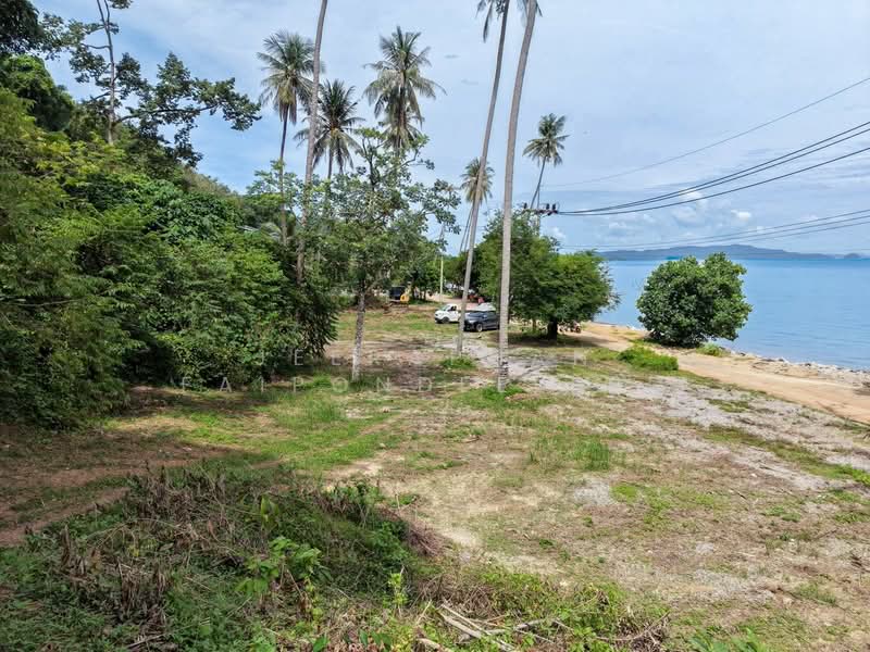Beachfront Land for Sale | Koh Yao Noi, Phang Nga, พังงา, เกาะยาวน้อย, เกาะยาว, พังงา, 3,828 ตร.ม., ที่ดิน ขาย, โดย JEERAPHAN FAIPONDEELERD, 500486241 - DDproperty.com
