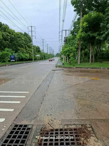 มาบยางพร, Rayong, Mapyangphon, Pluak Daeng, Rayong, , 141,400 sqm, Land For Sale, by Infinity EEC (Thailand) Co., Ltd., 500486306 - DDproperty.com