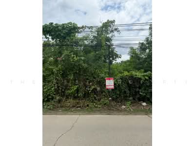 ขาย - ที่ดินหางดง เชียงใหม่, เชียงใหม่