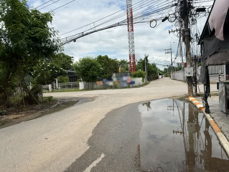 ที่ดินหางดง เชียงใหม่, เชียงใหม่, หารแก้ว, หางดง, เชียงใหม่, 3,952 ตร.ม., ที่ดิน ขาย, โดย The Best Property รัตน์, 500486365 - DDproperty.com