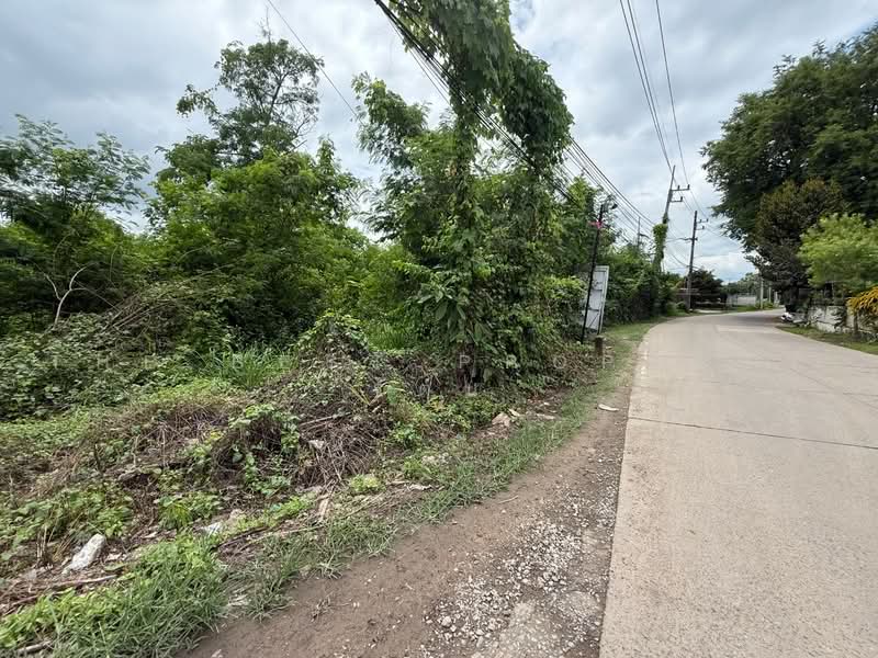 ที่ดินหางดง เชียงใหม่, เชียงใหม่, หารแก้ว, หางดง, เชียงใหม่, 3,952 ตร.ม., ที่ดิน ขาย, โดย The Best Property รัตน์, 500486365 - DDproperty.com