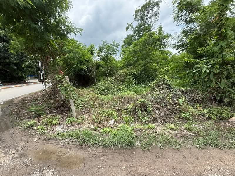 ที่ดินหางดง เชียงใหม่, Chiang Mai, Han Kaeo, Hang Dong, Chiang Mai, , 3,952 sqm, Land For Sale, by The Best Property รัตน์, 500486365 - DDproperty.com