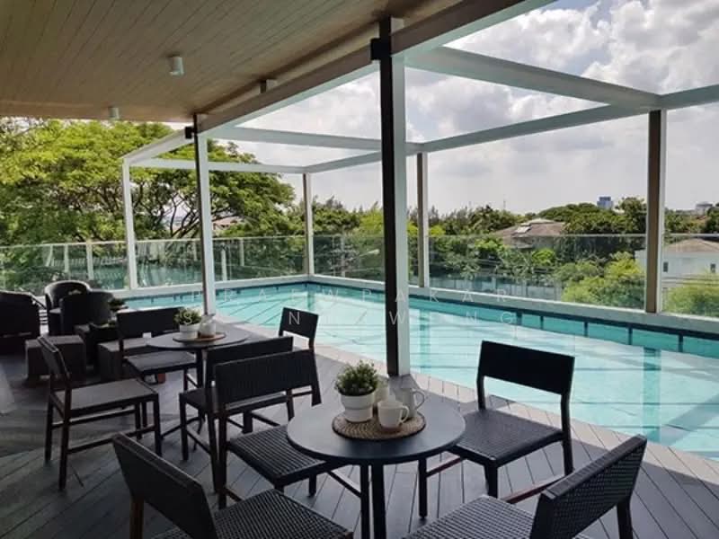Kensington Kaset-Campus, Bangkok, Soi Phahon Yothin 49/1, Lat Yao, Chatuchak, Bangkok, 2 Bedrooms, 31 sqm, Condo For Rent, by Praewpakar Soontawong, 500486465 - DDproperty.com