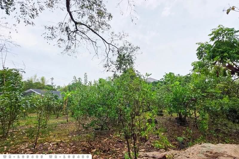 ที่ดินพร้อมบ้านเดี่ยวบ้านฉาง 1 ไร่ 190.7 ตร.ว. ระยอง ใกล้สนามบินอู่ตะเภา WR-105485 / WR-105486, ระยอง, สำนักท้อน, บ้านฉาง, ระยอง, 2,363 ตร.ม., ที่ดิน ขาย, โดย เบ็ญจวริณ ภัคเวทพิสิษฐ์(เบ็ญ), 500486509 - DDproperty.com