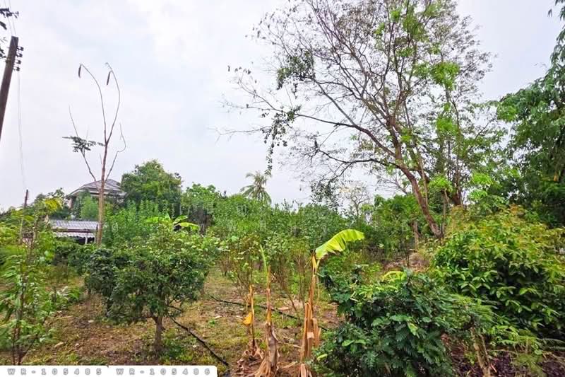ที่ดินพร้อมบ้านเดี่ยวบ้านฉาง 1 ไร่ 190.7 ตร.ว. ระยอง ใกล้สนามบินอู่ตะเภา WR-105485 / WR-105486, ระยอง, สำนักท้อน, บ้านฉาง, ระยอง, 2,363 ตร.ม., ที่ดิน ขาย, โดย เบ็ญจวริณ ภัคเวทพิสิษฐ์(เบ็ญ), 500486509 - DDproperty.com