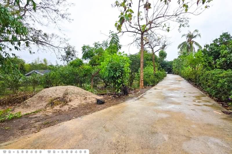 ที่ดินพร้อมบ้านเดี่ยวบ้านฉาง 1 ไร่ 190.7 ตร.ว. ระยอง ใกล้สนามบินอู่ตะเภา WR-105485 / WR-105486, ระยอง, สำนักท้อน, บ้านฉาง, ระยอง, 2,363 ตร.ม., ที่ดิน ขาย, โดย เบ็ญจวริณ ภัคเวทพิสิษฐ์(เบ็ญ), 500486509 - DDproperty.com
