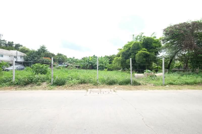 ที่ดินเพชรเกษม69 308 ตรว., กรุงเทพ, หนองค้างพลู, หนองแขม, กรุงเทพ, 1,232 ตร.ม., ที่ดิน ขาย, โดย Vimon Boodpha, 500486515 - DDproperty.com