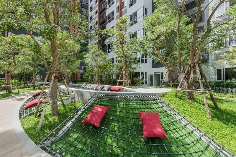 XT Huaikhwang, Bangkok, 244 Ratchadaphisek Road, Huai Khwang, Bangkok, 1 Bedroom, 35 sqm, Condo For Rent, by Natlyn Kongsapook, 500486718 - DDproperty.com