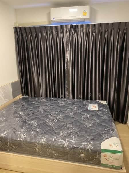 Plum Condo Rangsit Fresh, Pathum Thani, Khlong Nung, Khlong Luang, Pathum Thani, 1 Bedroom, 28 sqm, Condo For Rent, by พชร ชาญศิริ, 500486741 - DDproperty.com