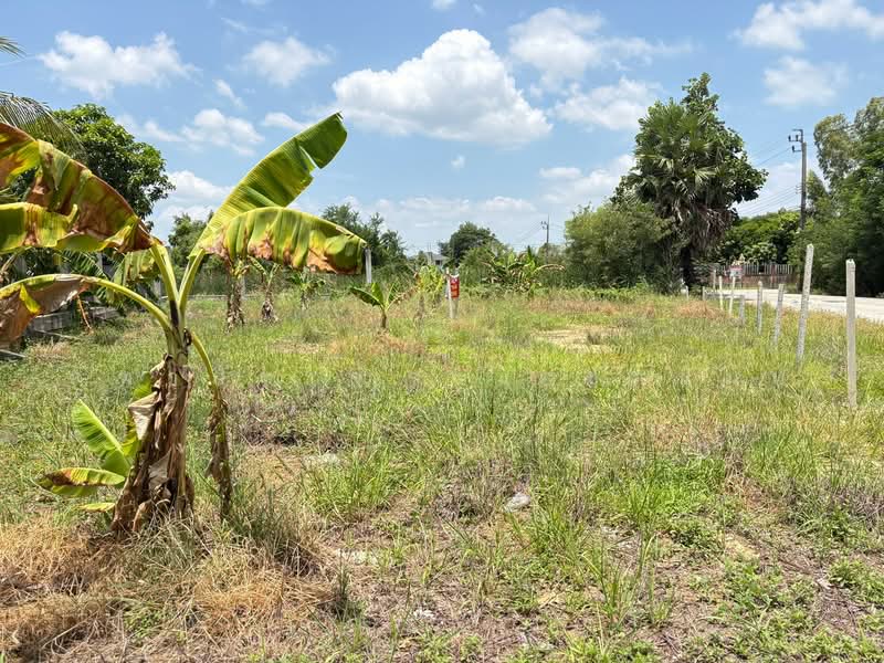 ขายที่ดินเปล่า 107 ตร.ว. ต.บ้านใหม่ อ.บางใหญ่ จ.นนทบุรี, Nonthaburi, Ban Mai, Bang Yai, Nonthaburi, , 428 sqm, Land For Sale, by คฑาภัท ดำรงเตชานนท์, 500486785 - DDproperty.com