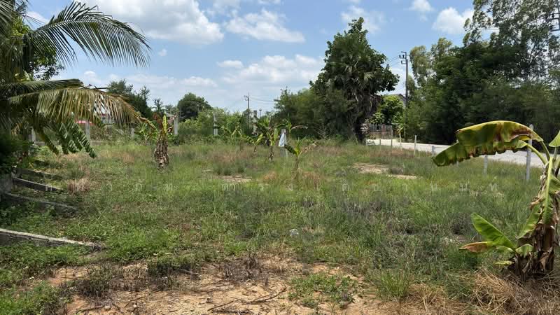ขายที่ดินเปล่า 107 ตร.ว. ต.บ้านใหม่ อ.บางใหญ่ จ.นนทบุรี, Nonthaburi, Ban Mai, Bang Yai, Nonthaburi, , 428 sqm, Land For Sale, by คฑาภัท ดำรงเตชานนท์, 500486785 - DDproperty.com