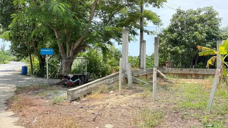 ขายที่ดินเปล่า 107 ตร.ว. ต.บ้านใหม่ อ.บางใหญ่ จ.นนทบุรี, Nonthaburi, Ban Mai, Bang Yai, Nonthaburi, , 428 sqm, Land For Sale, by คฑาภัท ดำรงเตชานนท์, 500486785 - DDproperty.com