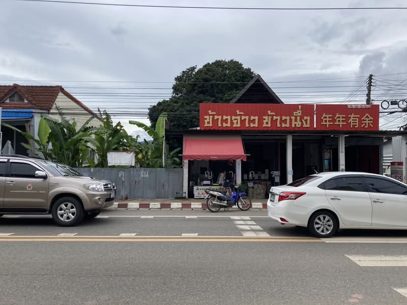 ขายที่ดินทำเลทอง เวียงป่าเป้า เชียงราย 200 ตร.ว. ติดถนนเชียงใหม่-เชียงราย เจ้าของขายเอง, เชียงราย, เวียง, เวียงป่าเป้า, เชียงราย, 800 ตร.ม., ที่ดิน ขาย, โดย คุณ วิญากร, 500486925 - DDproperty.com