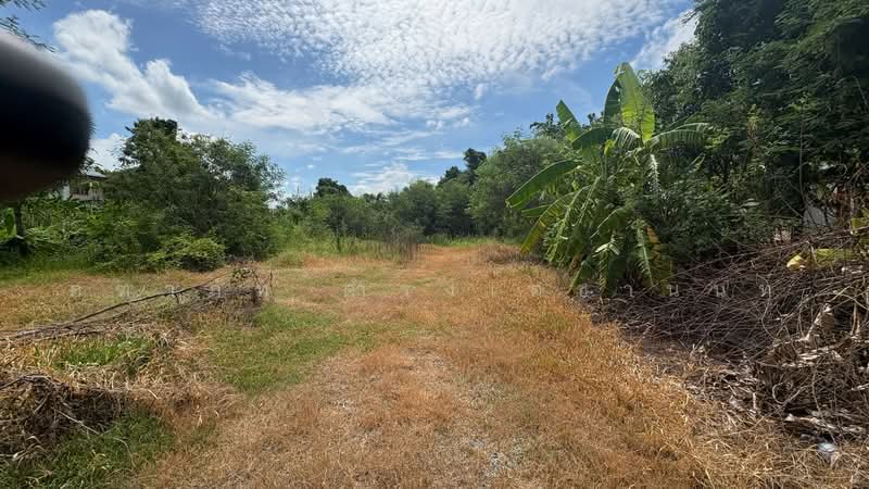 ขายที่ดินเปล่า 100 ตร.ว. บ้านกล้วย-ไทรน้อย จ.นนทบุรี, Nonthaburi, Sai Noi, Nonthaburi, , 400 sqm, Land For Sale, by คฑาภัท ดำรงเตชานนท์, 500487034 - DDproperty.com