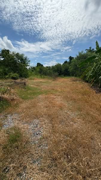 ขายที่ดินเปล่า 100 ตร.ว. บ้านกล้วย-ไทรน้อย จ.นนทบุรี, Nonthaburi, Sai Noi, Nonthaburi, , 400 sqm, Land For Sale, by คฑาภัท ดำรงเตชานนท์, 500487034 - DDproperty.com