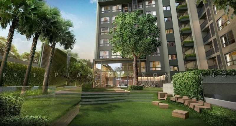 The Tree Sukhumvit 64, Bangkok, Soi Sukhumvit 64, Bang Chak, Phra Khanong, Bangkok, 1 Bedroom, 42 sqm, Condo For Sale, by Kritaphak Khongmueang, 500487135 - DDproperty.com
