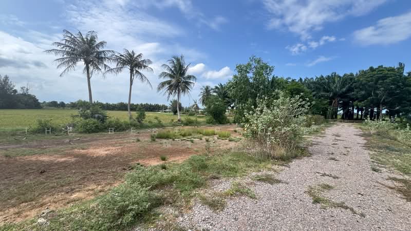 ที่ดินท่ายาง เพชรบุรี, เพชรบุรี, หนองจอก, ท่ายาง, เพชรบุรี, 983 ตร.ม., ที่ดิน ขาย, โดย The Best Property ณรงค์, 500487257 - DDproperty.com
