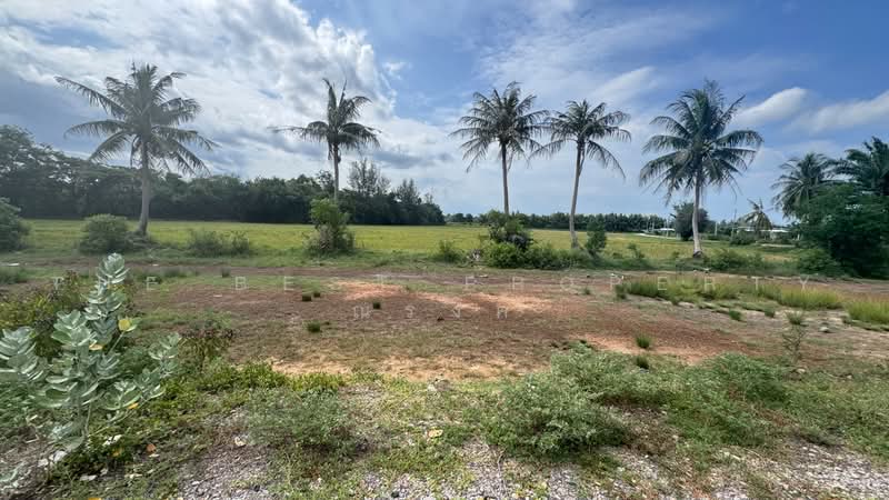 ที่ดินท่ายาง เพชรบุรี, เพชรบุรี, หนองจอก, ท่ายาง, เพชรบุรี, 983 ตร.ม., ที่ดิน ขาย, โดย The Best Property ณรงค์, 500487257 - DDproperty.com