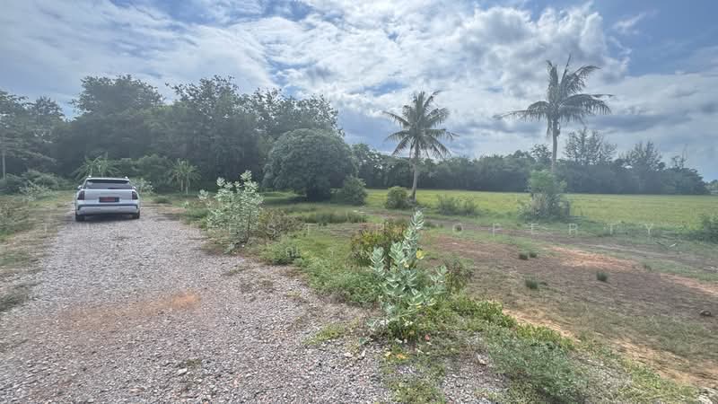 ที่ดินท่ายาง เพชรบุรี, Phetchaburi, Nong Chok, Tha Yang, Phetchaburi, , 983 sqm, Land For Sale, by The Best Property ณรงค์, 500487257 - DDproperty.com
