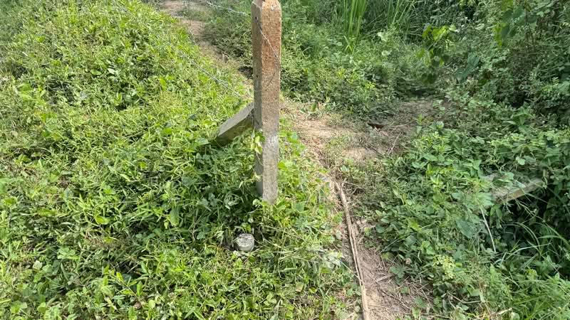 ที่ดินท่ายาง เพชรบุรี, เพชรบุรี, หนองจอก, ท่ายาง, เพชรบุรี, 983 ตร.ม., ที่ดิน ขาย, โดย The Best Property ณรงค์, 500487257 - DDproperty.com