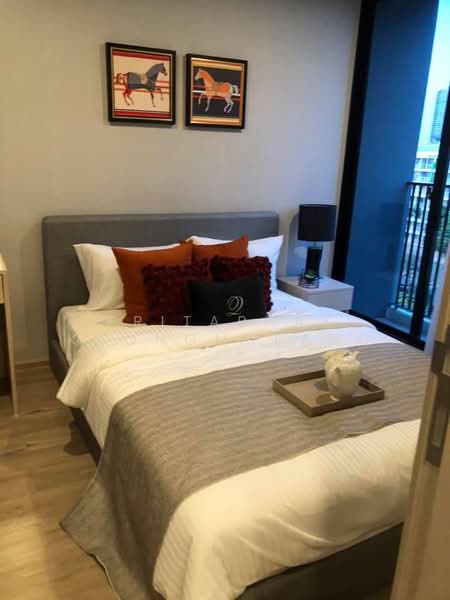 Serio Sukhumvit 50, Bangkok, Soi Sukhumvit 50, Phra Kanong, Khlong Toei, Bangkok, 1 Bedroom, 34 sqm, Condo For Rent, by Kritaphak Khongmueang, 500487350 - DDproperty.com