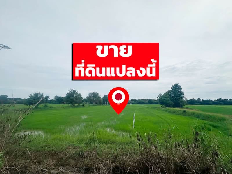 ที่ดินโคกสี ขอนแก่น, Khon Kaen, Khok Si, Muang Khon Kaen, Khon Kaen, , 9,960 sqm, Land For Sale, by The Best Property ต้นอ้อ, 500487455 - DDproperty.com