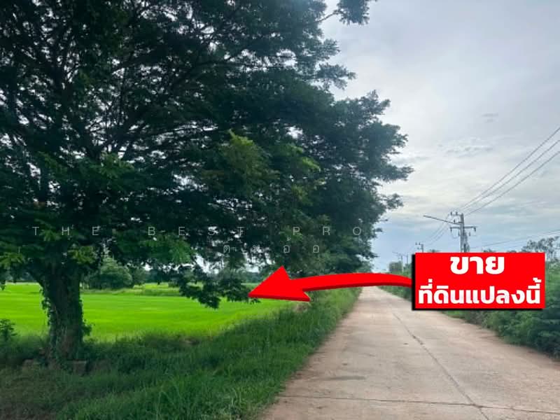 ที่ดินโคกสี ขอนแก่น, Khon Kaen, Khok Si, Muang Khon Kaen, Khon Kaen, , 9,960 sqm, Land For Sale, by The Best Property ต้นอ้อ, 500487455 - DDproperty.com